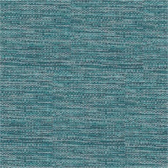 Notion Crypton Upholstery Fabric